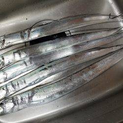 仕事帰りにワインド太刀