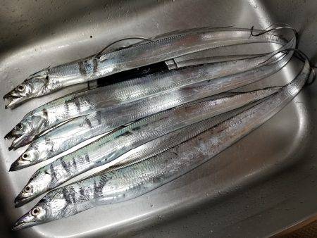 仕事帰りにワインド太刀