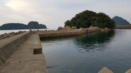 三重県秋イカ調査