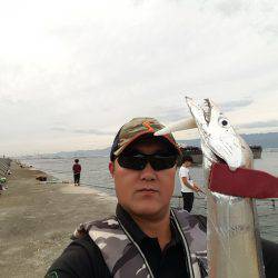 久々のムコイチ太刀魚