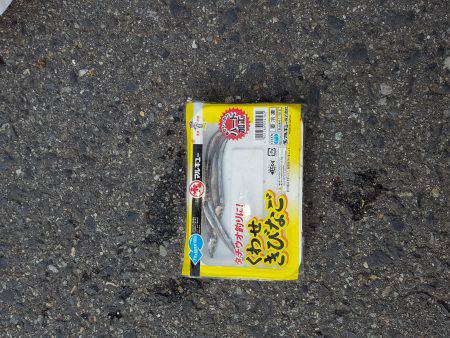 タチウオ　ツバス