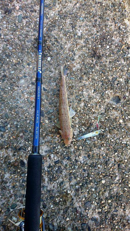 久しぶりのジグ