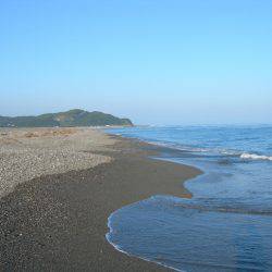 サーフはゴミで釣りづらく、夜になってアオリイカの釣果あり