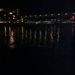 マナティー28でアジポンポン