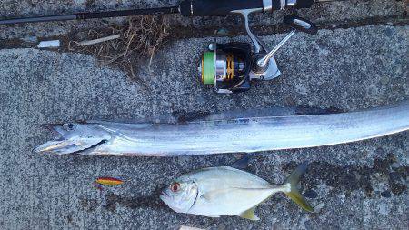 アジング エギング ライトジギング