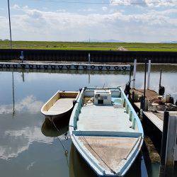 初ブラックバス