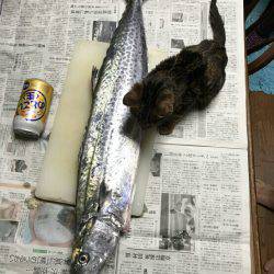 どこもかしこも竿人竿