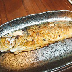 千早川マス釣り場