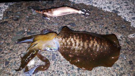 夕方からブラっと