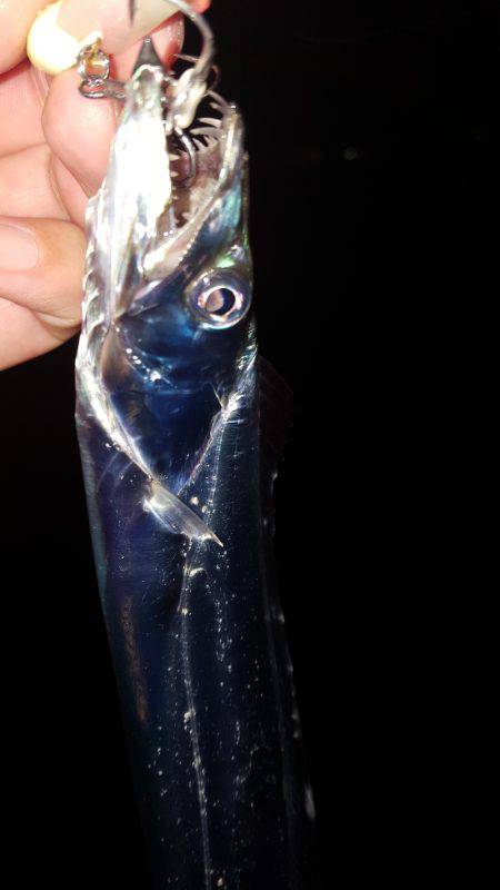 ワインドジャンキー引退します。