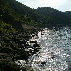 休日のエギング