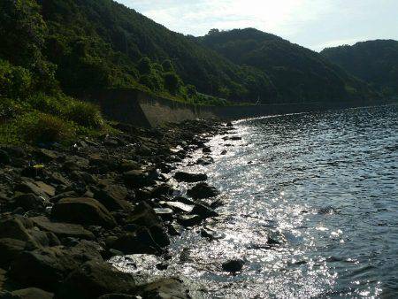 休日のエギング