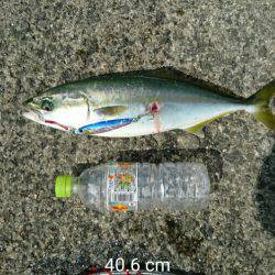 釣れて満足でも課題が残る釣行