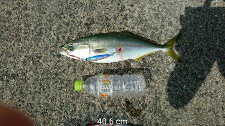 釣れて満足でも課題が残る釣行