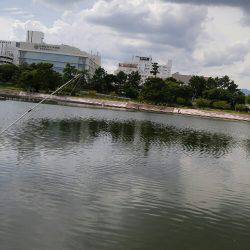 武庫川のはぜつり