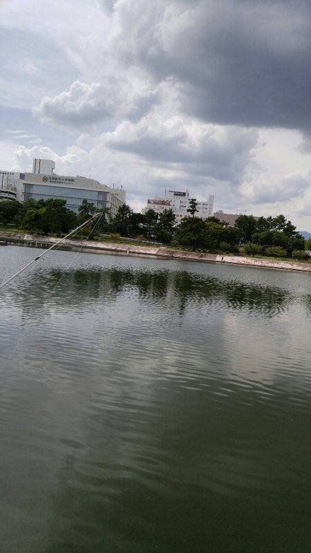 武庫川のはぜつり