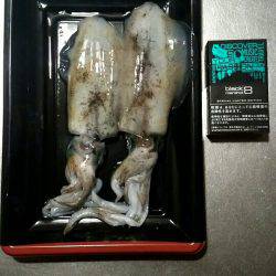 台風が来る前に