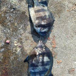 またまた、兵庫突定♪(笑)