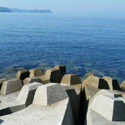 気合い入れてのエギング！