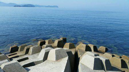 気合い入れてのエギング！