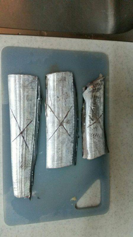 南港太刀魚調査