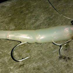 タチウオ調査 そろそろ気配あり