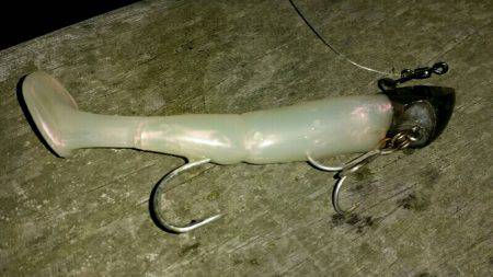 タチウオ調査 そろそろ気配あり