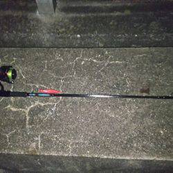 お持ち帰りサイズ❗️