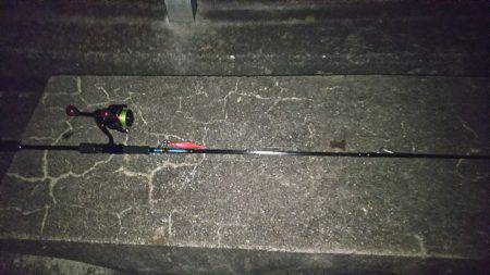 お持ち帰りサイズ❗️