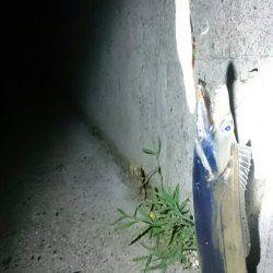 ちょっと刀狩り