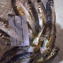 またまた行ってきました！