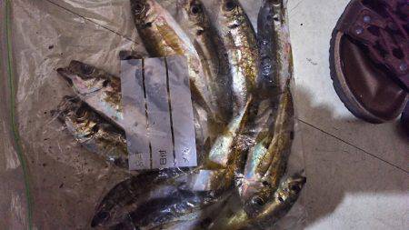 またまた行ってきました！