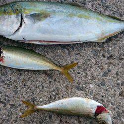 炸裂小太刀狩り‼