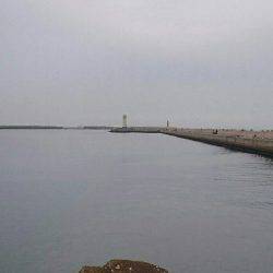 青物ゲットならず(T-T)