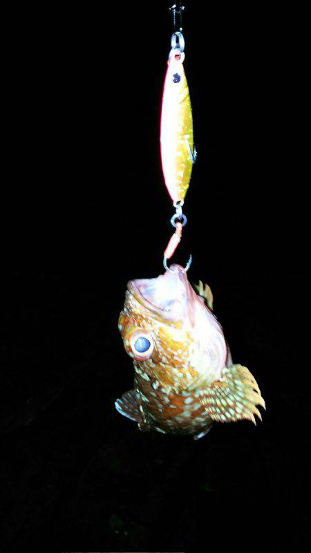 ハマチと呼んでいいでしょうか？