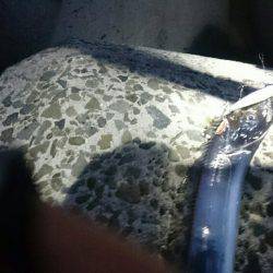 満員御礼 小太刀狩り