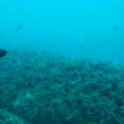 浮気はしません!