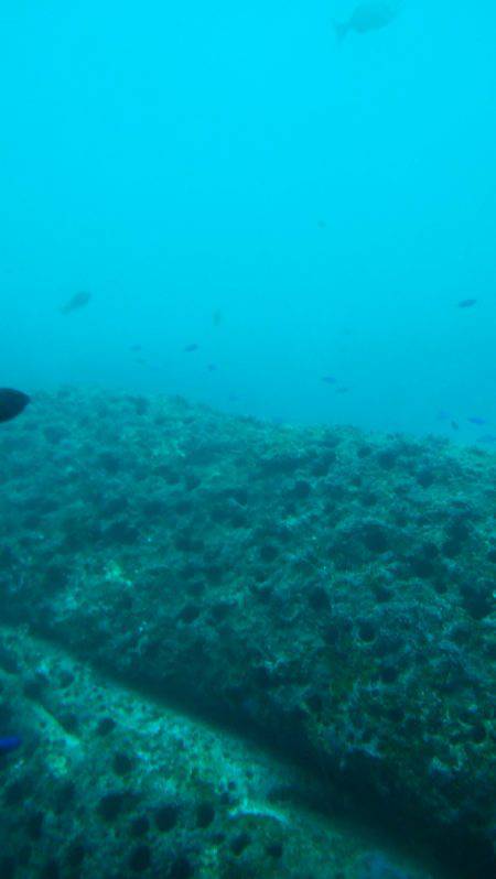 浮気はしません!