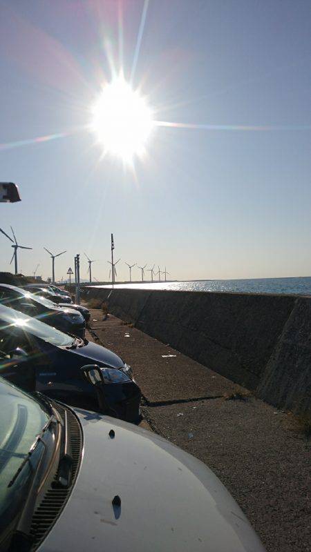 釣りたいけど釣れない❗