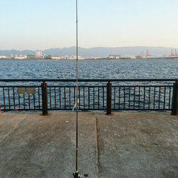 まさかの大物！！