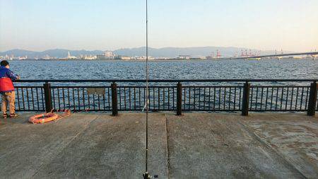 まさかの大物！！