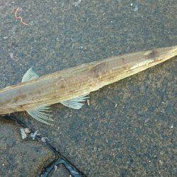 ミッション完了