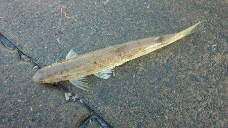 ミッション完了