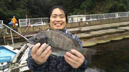 久美浜かかり釣り