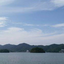 台風後の落とし込み