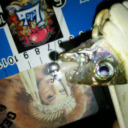 ちょっとテクニカルな豆アジでした(笑)