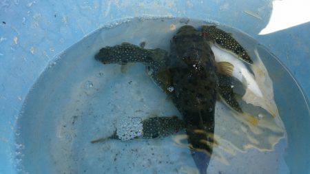 三重南部釣（調）査 2回目