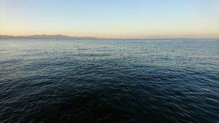 朝イチ 青物狙い。 久々に釣れました