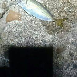 まだまだですな。