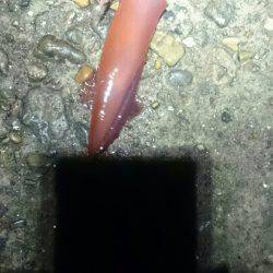 やはり雨の日は人が少ない